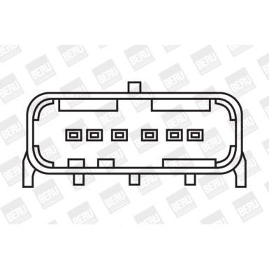 BorgWarner (BERU) | Zündspule | ZS352