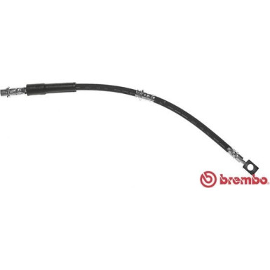 Brembo | Bremsschlauch | T 59 072