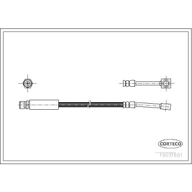 Corteco | Bremsschlauch | 19031681