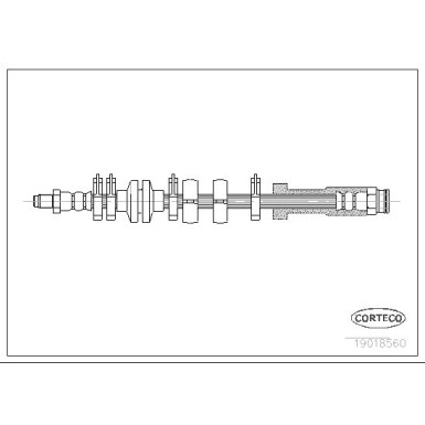 Corteco | Bremsschlauch | 19018560