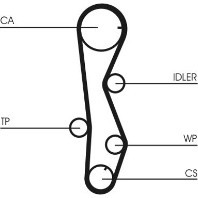 ContiTech | Zahnriemen | CT1099