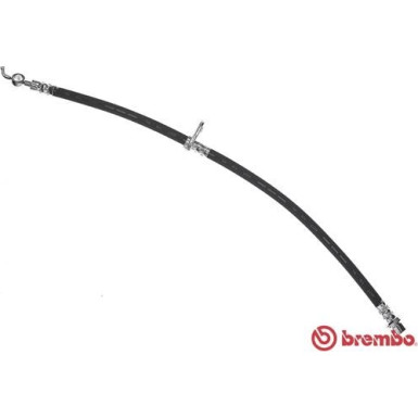 Brembo | Bremsschlauch | T 11 013