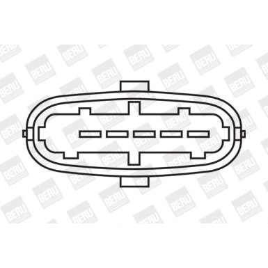 BorgWarner (BERU) | Zündspule | ZS358