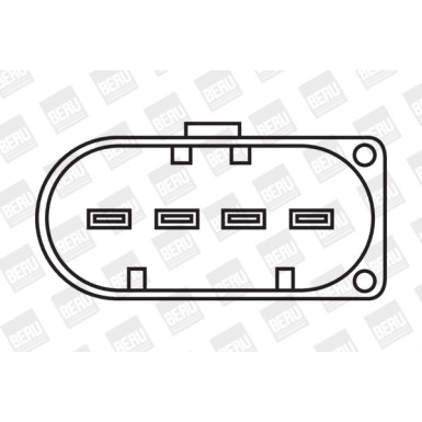 BorgWarner (BERU) | Zündspule | ZSE012