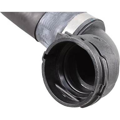 Metzger | Kühlerschlauch | 2421529 Metzger | Kühlerschlauch | 2421529