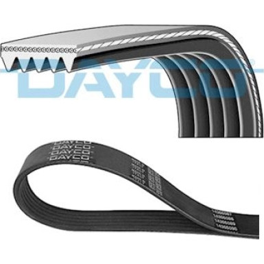 Dayco | Keilrippenriemen | 5PK1270