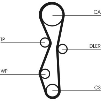 ContiTech | Zahnriemen | CT1142