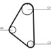 ContiTech | Zahnriemen | CT558 ContiTech | Zahnriemen | CT558