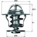 Mahle | Thermostat, Kühlmittel | TX 13 92D