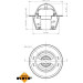 NRF | Thermostat, Kühlmittel | 725151