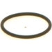 BOSCH | Dichtring | 1 410 257 042 BOSCH | Dichtring | 1 410 257 042