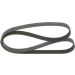 BOSCH Keilrippenriemen 1 987 946 280 BOSCH Keilrippenriemen 1 987 946 280