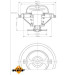 NRF | Thermostat, Kühlmittel | 725096