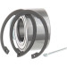 SKF | Radlagersatz | VKBA 3600 SKF | Radlagersatz | VKBA 3600