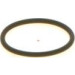 BOSCH | Dichtring | 1 410 257 042 BOSCH | Dichtring | 1 410 257 042