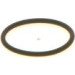 BOSCH | Dichtring | 1 410 257 042 BOSCH | Dichtring | 1 410 257 042