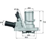 Mahle | Thermostat, Kühlmittel | TI 144 88