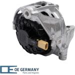 OE Germany | Lagerung, Motor | 800552