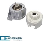 OE Germany | Lagerung, Motor | 800861