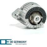 OE Germany | Lagerung, Motor | 800870