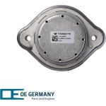 OE Germany | Lagerung, Motor | 800907