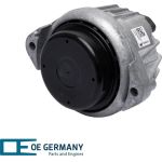 OE Germany | Lagerung, Motor | 800926