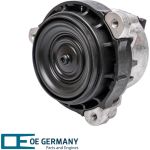 OE Germany | Lagerung, Motor | 801229