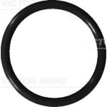 Victor Reinz | Dichtring, Ölablassschraube | 40-76041-20